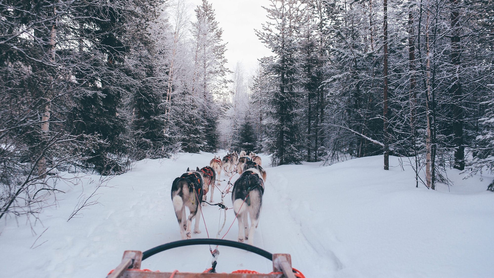 winter sports