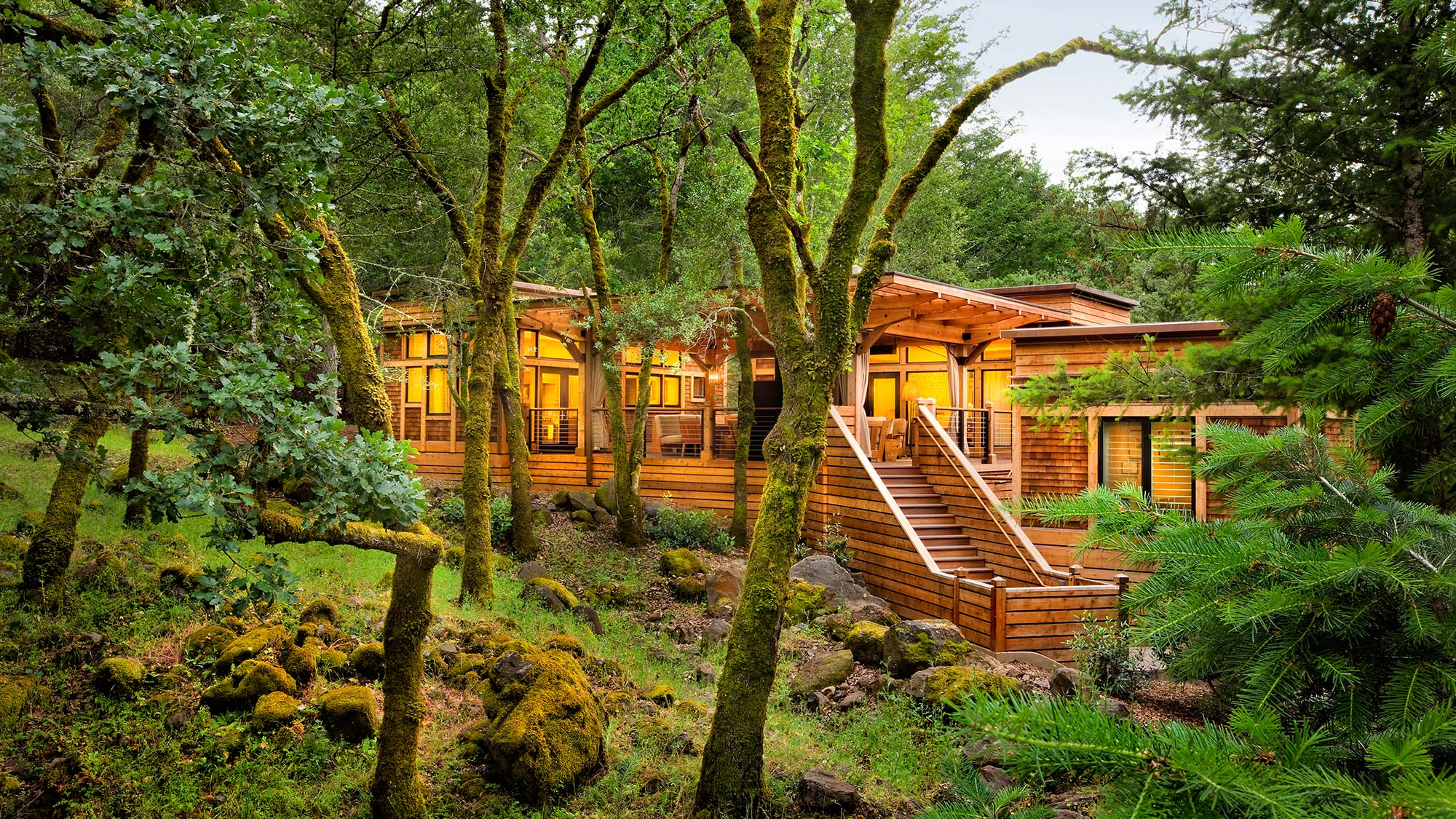 tree house