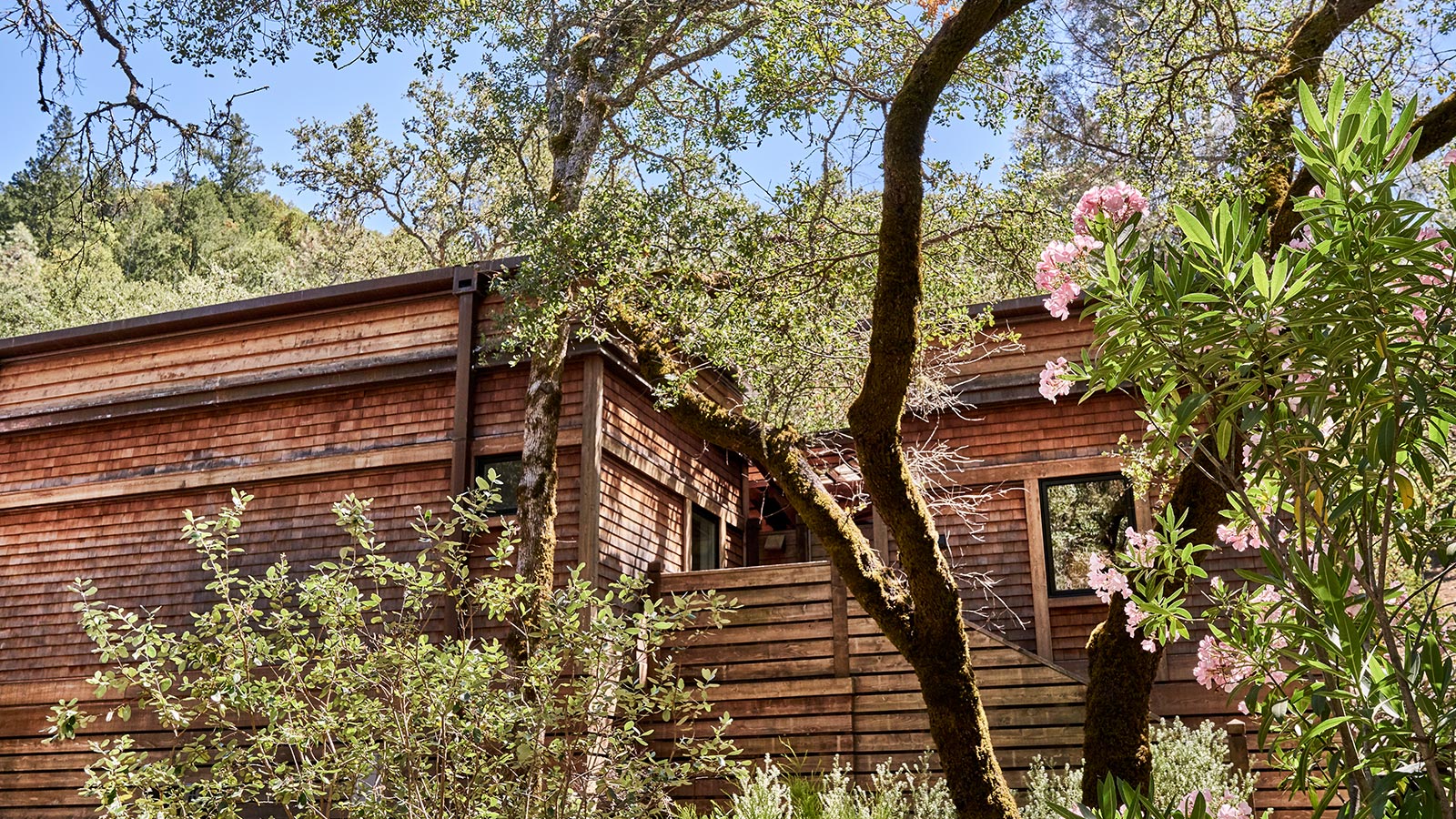 tree house