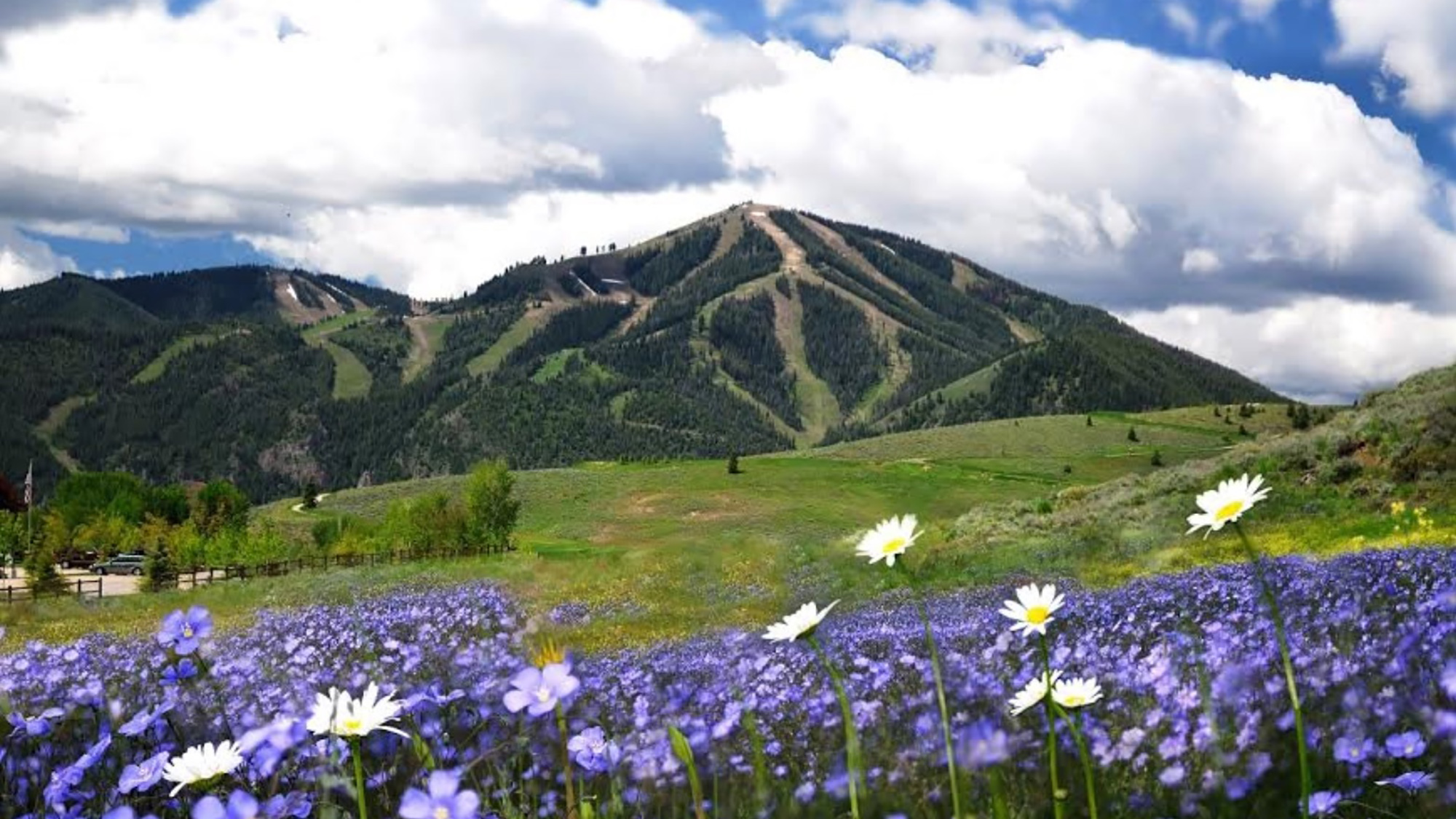 Sun valley